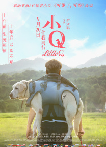 一区二区三区视频在线